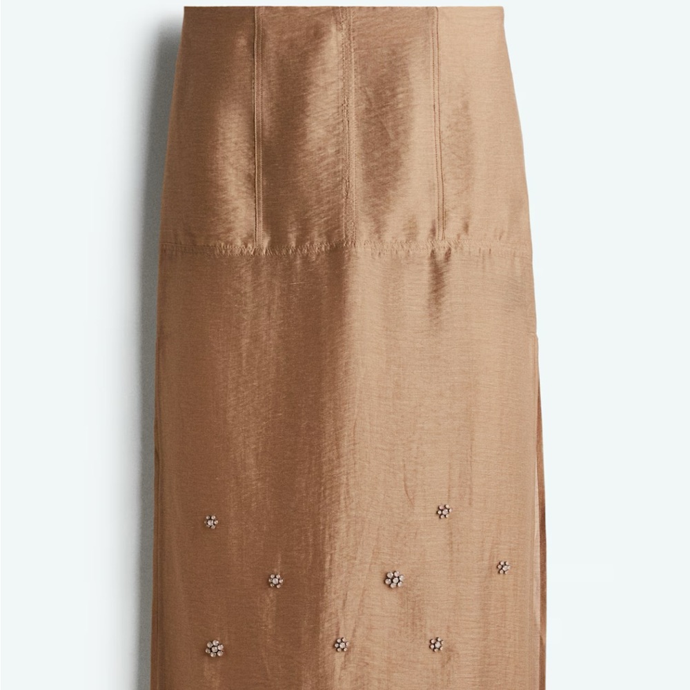 Embellished sheer skirt - NWT